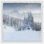 Twilight Woods - Single Picture Frame Print-478124784