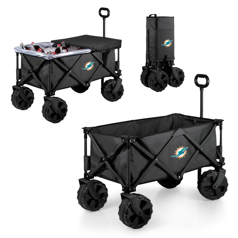Chariot Adventure, Dolphins de Miami