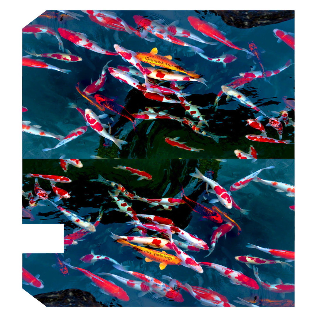 Koi Fish Summer Decoration Mailbox Cover VWAQ