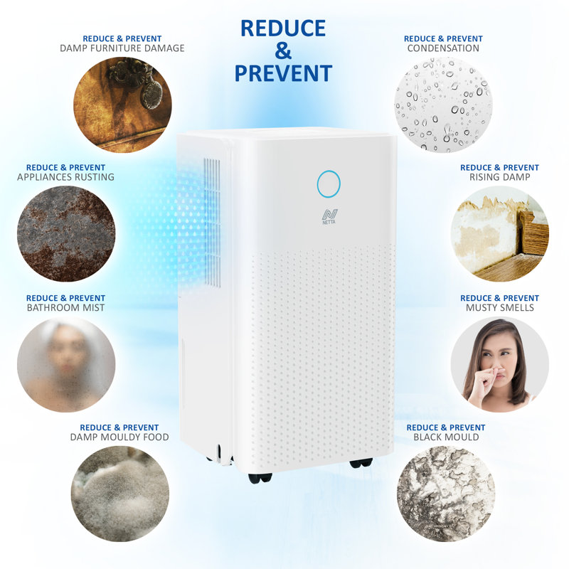 Netta 12l Dehumidifier With 24-hour Timer