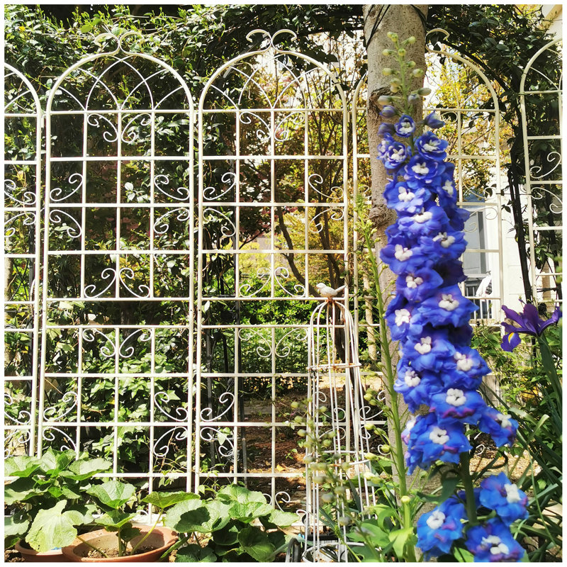 Paquet de 2 treillis de jardin en métal antirouille pour plantes grimpantes, Blanc, crème