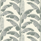 Banana Leaf - Wallpaper