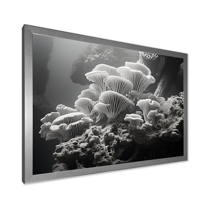 Anémone noire et blanche I sur toile, H 30 po x l 40 po x P 1,5 po, Cadre photo argenté