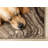 Fresno Modern Abstract Brown Area Rug-102211040