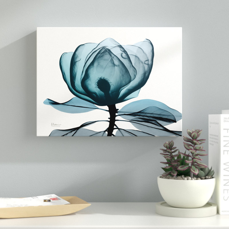 Midnight Magnolia 1 - Wrapped Canvas Print, 30 cm H x 41 cm W