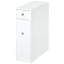 Freestanding Bathroom Cabinet