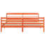Storage Bed-1264889385