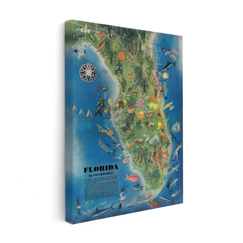 Carte de l'État de la Floride, H 12 po x l 16 po, Canevas, Sans cadre