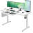 Tempered Glass Top Height Adjustable Standing Desk, Computer Desk with Drawer and USB Charge-978523221-977658439