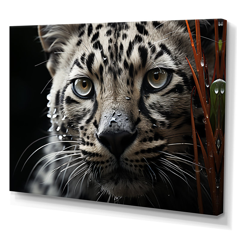 «Jungle Leopard Stalk II», reproduction sur toile, Toile tendue, H 24 po x l 32 po x P 1 po