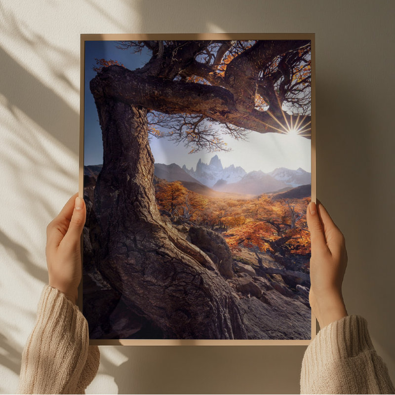 Wrapped Canvas Print, 50.8 cm H x 76.2 cm W