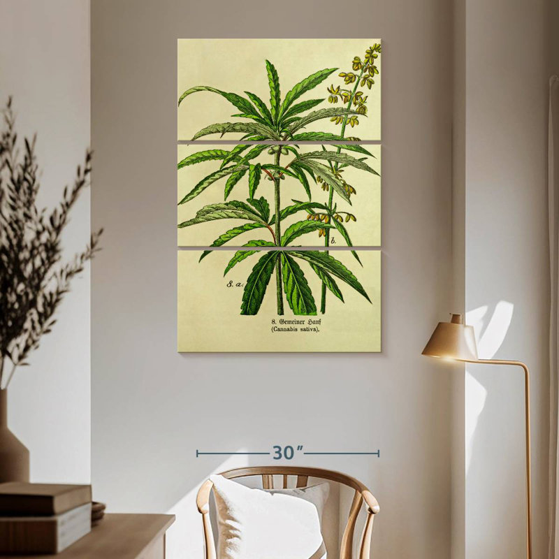 Senne Victorian Style Cannabis