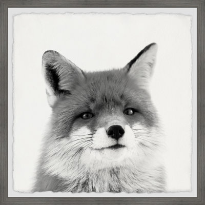 Maria Giovanni - Single Picture Frame Print