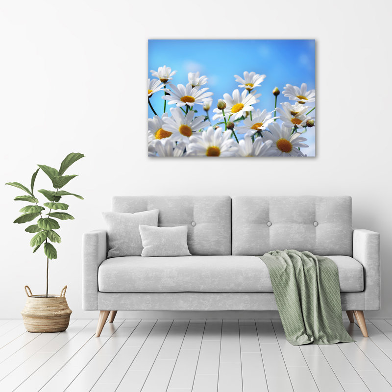 Daisies - No Frame Print on Glass