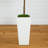 Fiddle Leaf Fig in White Planter