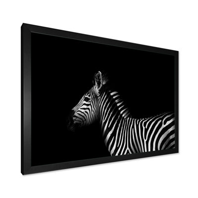 " Sideview Of Zebra In Black And White "