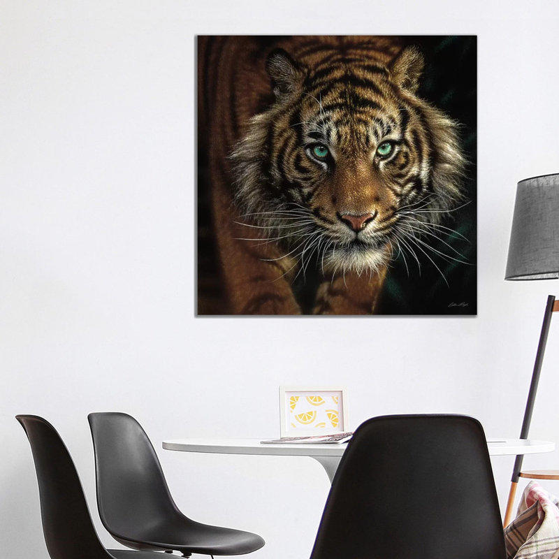 Eye Of The Tiger, Square by Collin Bogle - Painting on Canvas, No Frame, 66.04 cm H x 66.04 cm W x 3.175 cm D