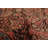 Newlin Copper Rug 4'1" x 6'5"
