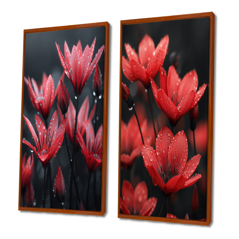 Monochromes rouges, noirs, pissenlits, gouttes de pluie, H 40 po x l 40 po, Impression encadrée, Brun