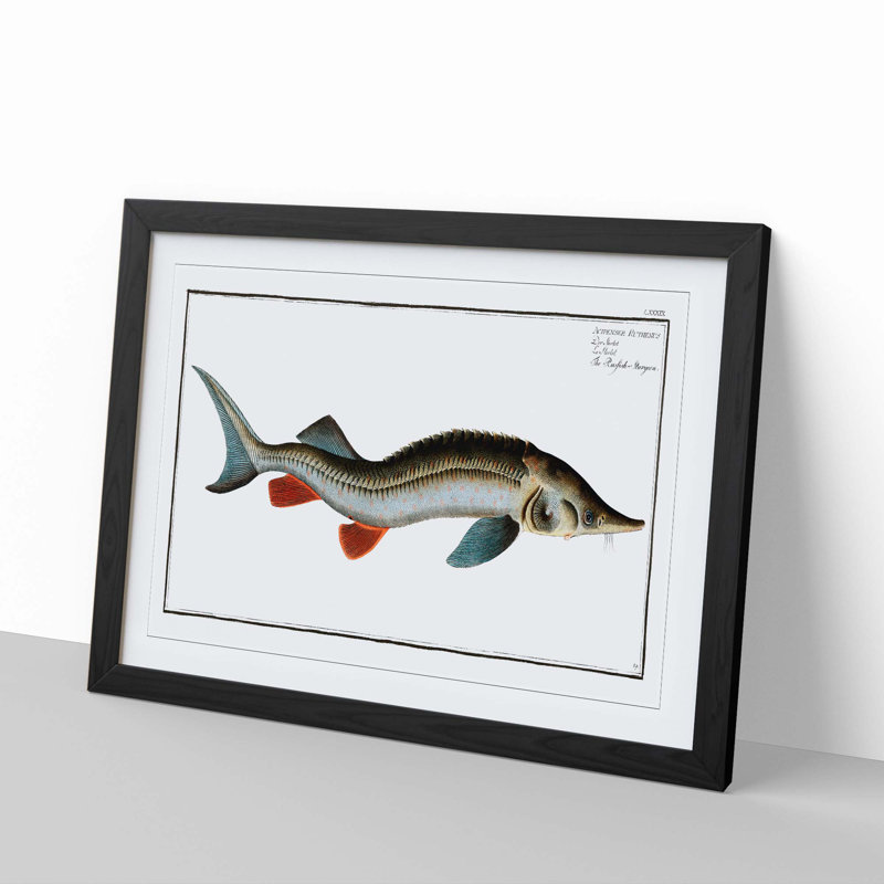 Rusfish-Sturgeon Fish by M.E. Bloch - Picture Frame Painting Print, 36cm H x 48cm W x 2cm D, Black Framed