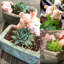 Boîte à plante en résine Geet