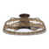27" Taunya 5 - Blade Caged Ceiling Fan with LED Lights and Remote Control
