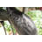 Rosalez Tiered Birdbath