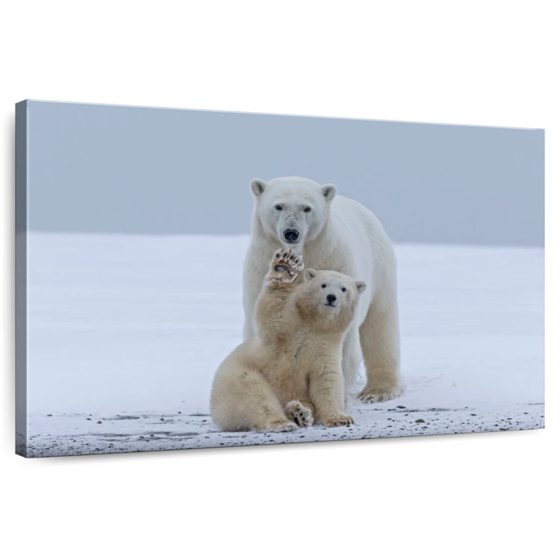 Brampt Polar Bear Waving, 24" H x 36" W