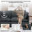 Chenille Cloud Sofa ，Loveseat Sofa Couch for Living Room -968947901