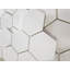 Bianco Dolomite 4 "Hexagon Mat