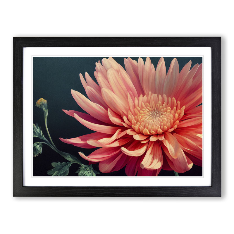 Timeless Chrysanthemum Flower - Single Picture Frame Print, Black Framed, 34cm H x 46cm W x 2cm D
