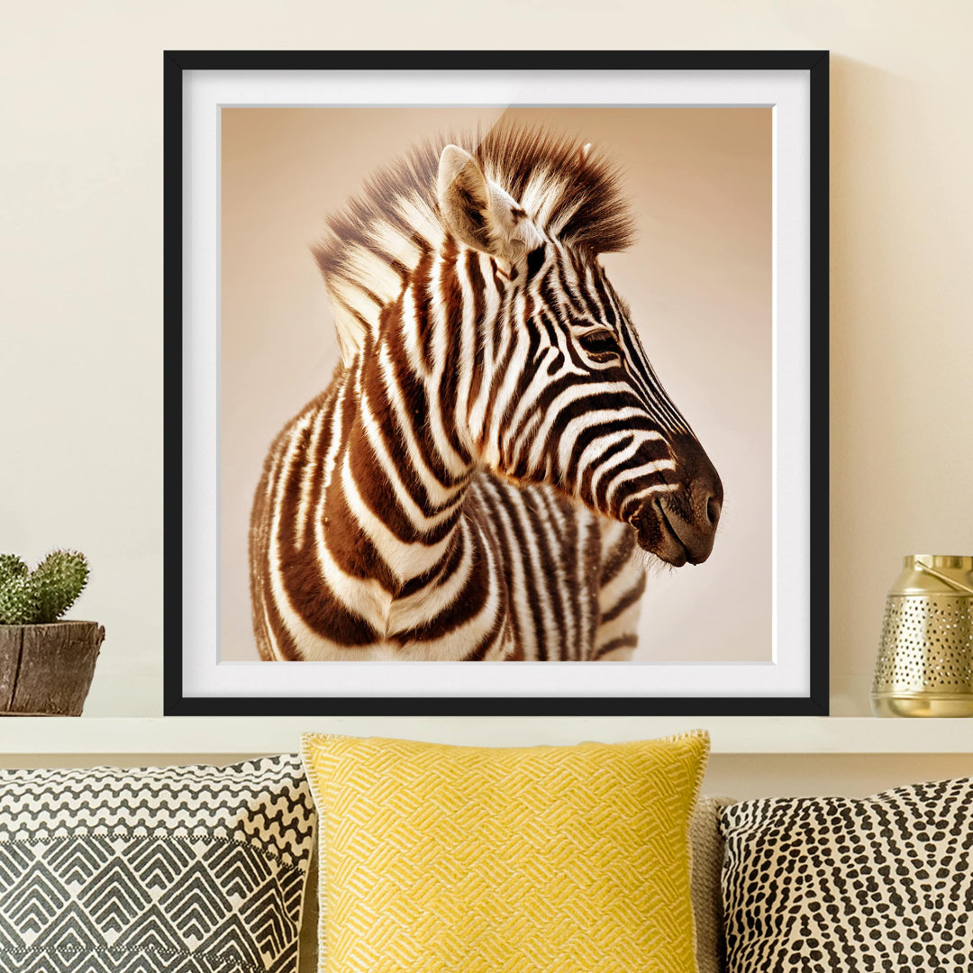 Gerahmtes Papierbild Zebra Baby Portrait