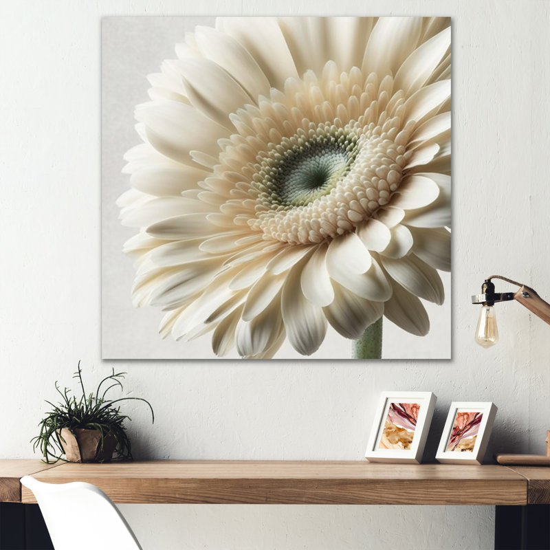 Gerbera blanche III - art mural Gerbera, H 24 po x l 24 po, Toile tendue