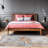 Kingsbury Abstract Multi Indoor Area Rug-2078664572