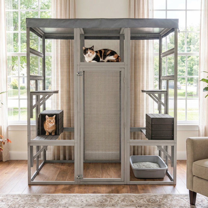 Cages et parcs pour chat spacieux, patio moderne en bois massif pour la maison