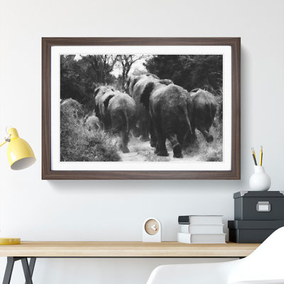 Herd of Elephants - Framed Print
