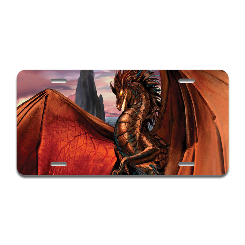 Cadre en aluminium Dragon Reign