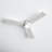 Rodrick Ceiling Fan with LED Lights-90781355-90781354