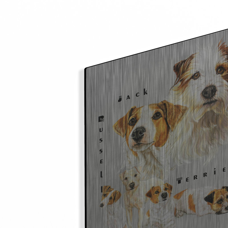 «Jack Russell Terrier» par Barbara Keith, H 16 po x l 12 po