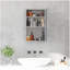 Armoire de salle de bain à miroir, armoire à pharmacie verticale en acier inoxydable de 16 po x 24 po, organisateur de rangement mural avec porte simple?