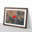 Red Poppy Flower - Framed Print-56758863-56758864