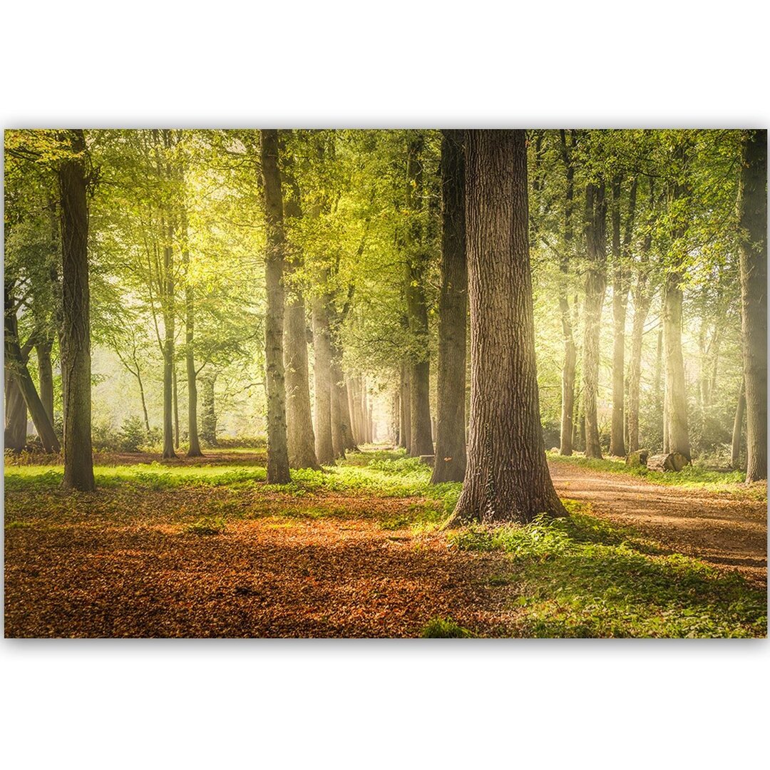 Leinwandbild Green Forest