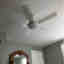 Customer photo 2 of 2