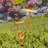 Setsuo Iron Garden Stake