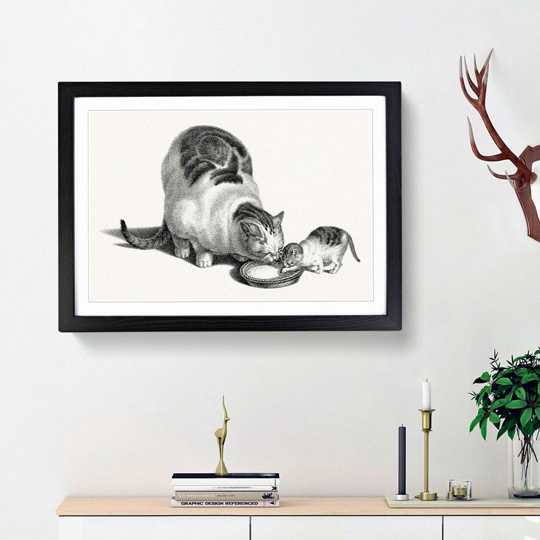 Cat & Kitten Drinking by Gottfried Mind - Framed Print