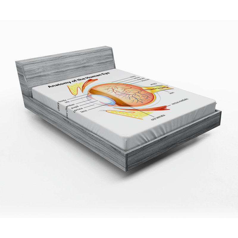 Drap-housse éducatif, Drap-housse de taille double