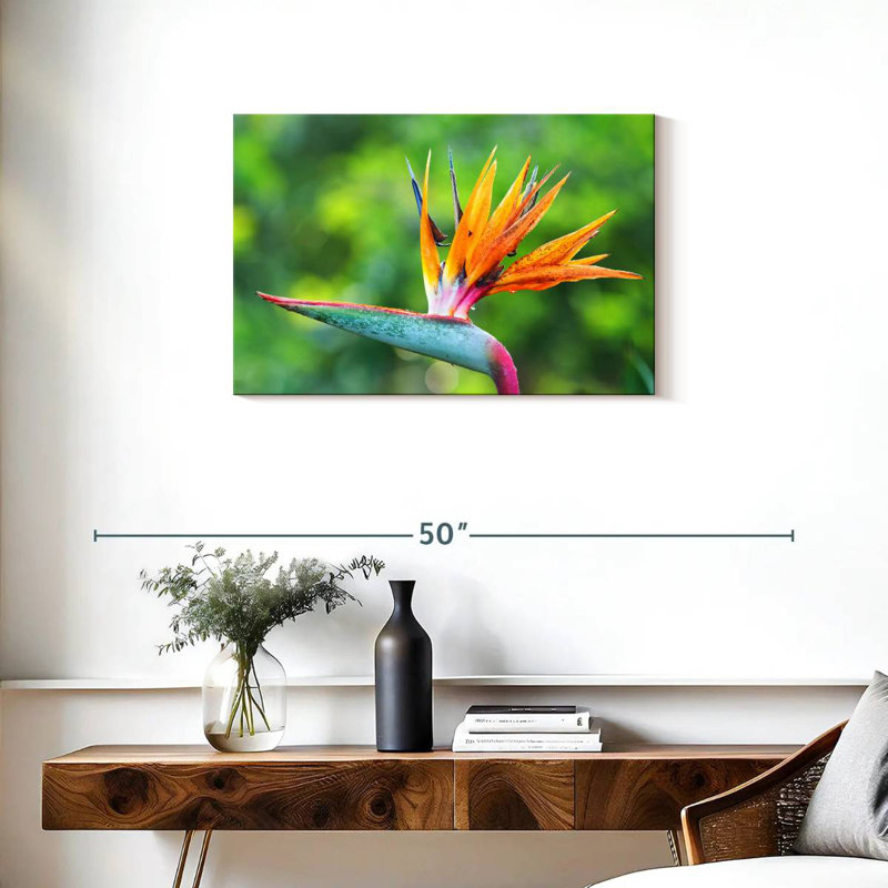 Fleur Harnek, oiseau du paradis