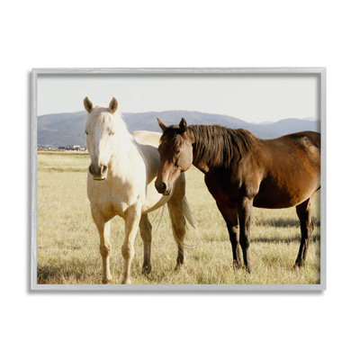 " Rural Horses Animal Nature "