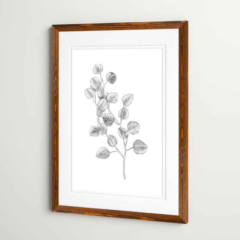 " Eucalyptus Sketch IV ", Maple Framed Print, 38" H x 28" W x 1.3" D