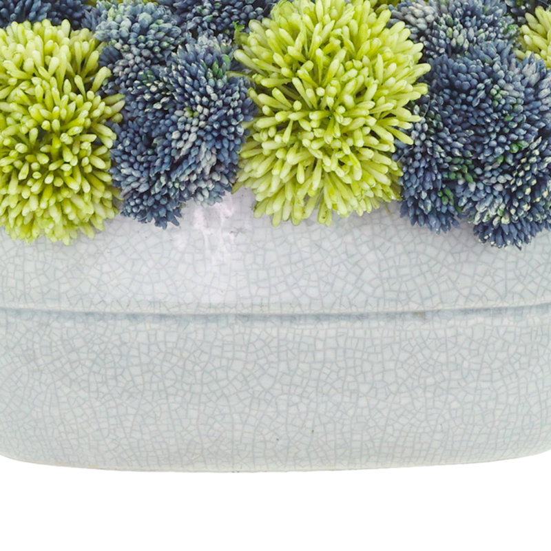 Assorted Sedum in Ceramic Pot